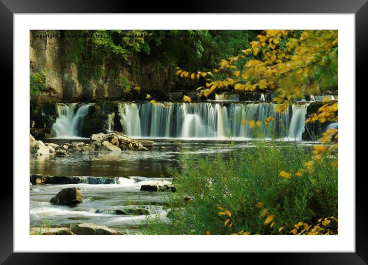 GOING TO THE FALLS Framed Mounted Print by andrew saxton