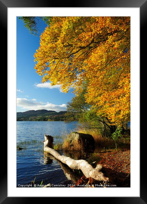 Lake of Menteith  autumn colours Framed Mounted Print by Angus McComiskey