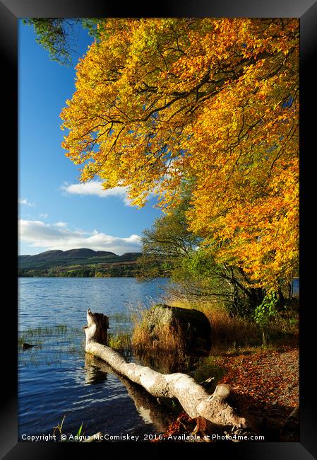 Lake of Menteith  autumn colours Framed Print by Angus McComiskey