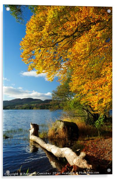 Lake of Menteith  autumn colours Acrylic by Angus McComiskey