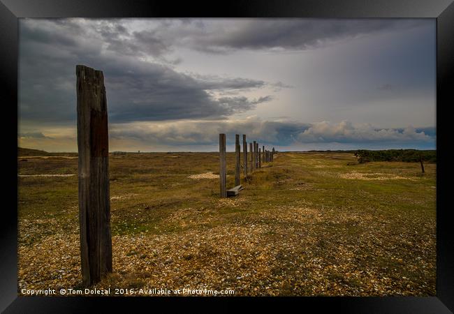 Dungeness wilderness 1 Framed Print by Tom Dolezal