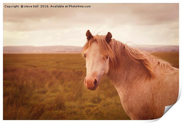 Vintage wild horse Print by steve ball