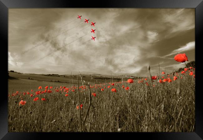 Red Arrows over Poppy Field Framed Print by Scott Anderson