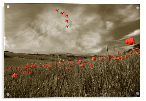 Red Arrows over Poppy Field Acrylic by Scott Anderson