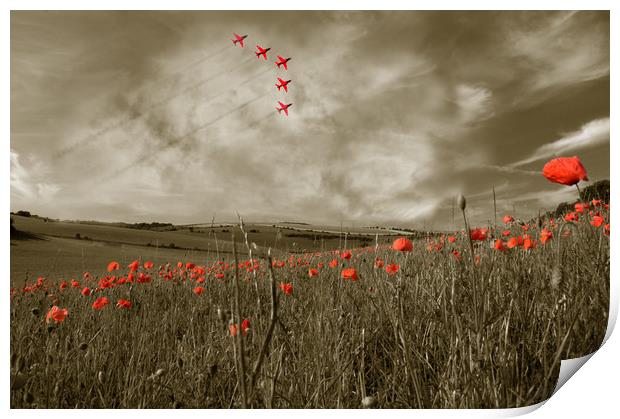 Red Arrows over Poppy Field Print by Scott Anderson