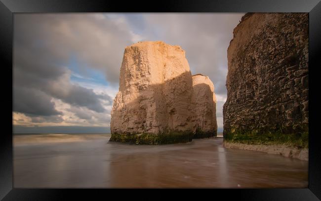 Giants Of Botany Bay Framed Print by Clive Eariss