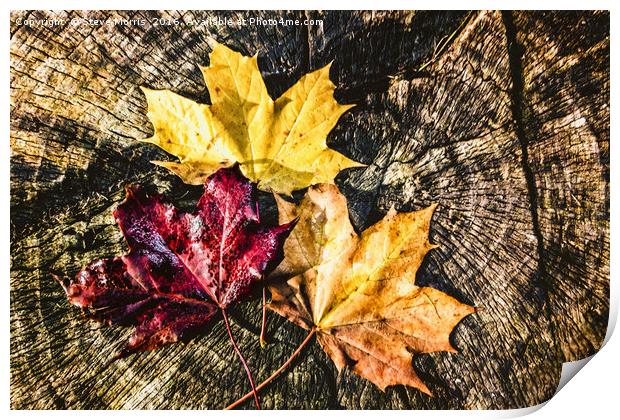 Autumn Leaves Print by Steve Morris