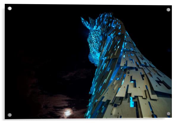 Moonstruck Kelpie Acrylic by Garry Quinn