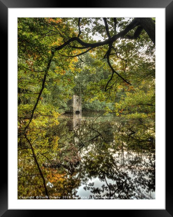 On the way to Thruscross reservoir Framed Mounted Print by David Oxtaby  ARPS