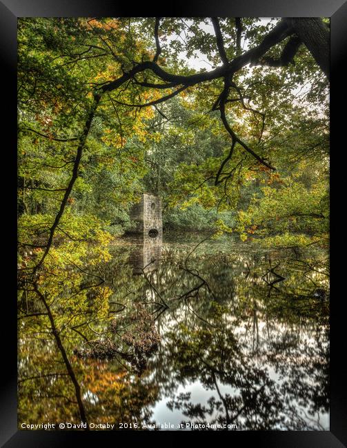 On the way to Thruscross reservoir Framed Print by David Oxtaby  ARPS