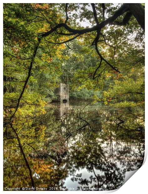 On the way to Thruscross reservoir Print by David Oxtaby  ARPS