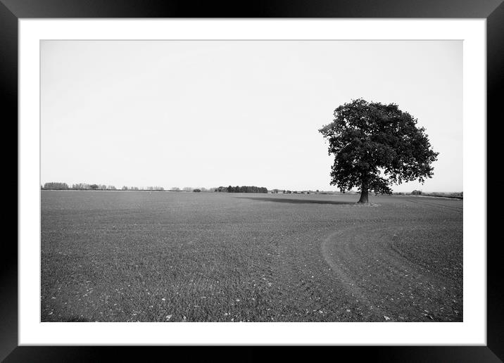 The Last Tree Framed Mounted Print by Simon Thorpe