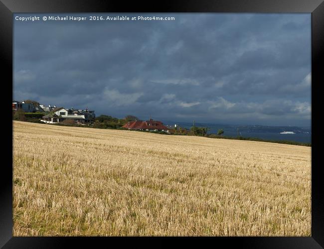 Barley Stubble in sunlight as storm clouds gather Framed Print by Michael Harper