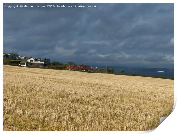 Barley Stubble in sunlight as storm clouds gather Print by Michael Harper
