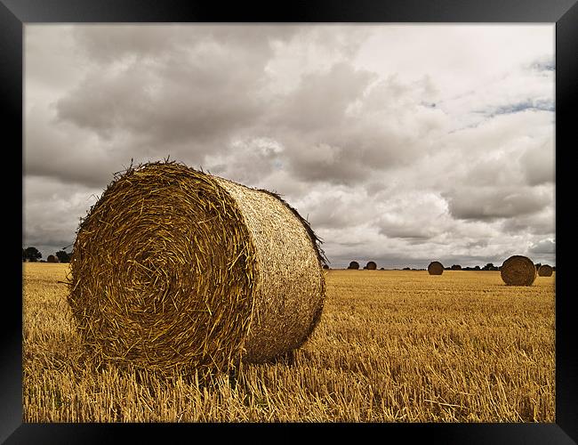 Straw Bale with stormy sky Framed Print by Paul Macro