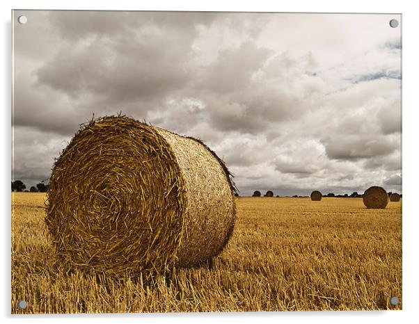 Straw Bale with stormy sky Acrylic by Paul Macro
