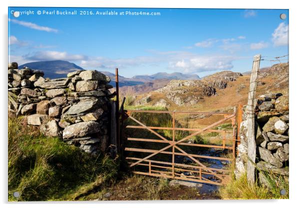 Rusty Farm Gate in Hills of Snowdonia Acrylic by Pearl Bucknall