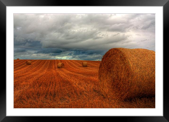 Bales after a Storm Framed Mounted Print by Gavin Liddle