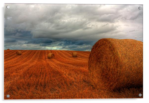 Bales after a Storm Acrylic by Gavin Liddle