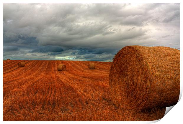 Bales after a Storm Print by Gavin Liddle