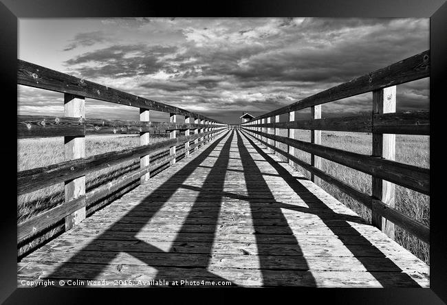 Kelly's Beach Boardwalk Framed Print by Colin Woods