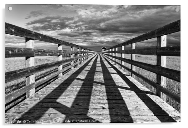 Kelly's Beach Boardwalk Acrylic by Colin Woods