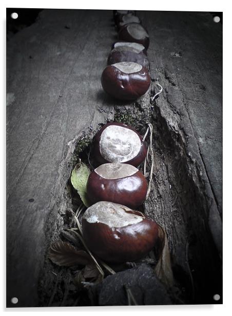 Horse chestnut seeds, Conkers, Acrylic by K. Appleseed.
