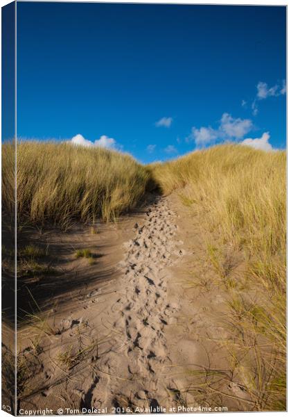 Footprints in the sand Canvas Print by Tom Dolezal