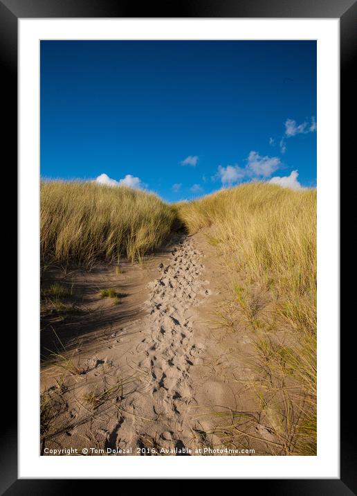 Footprints in the sand Framed Mounted Print by Tom Dolezal