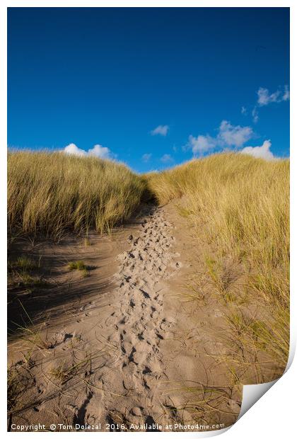 Footprints in the sand Print by Tom Dolezal