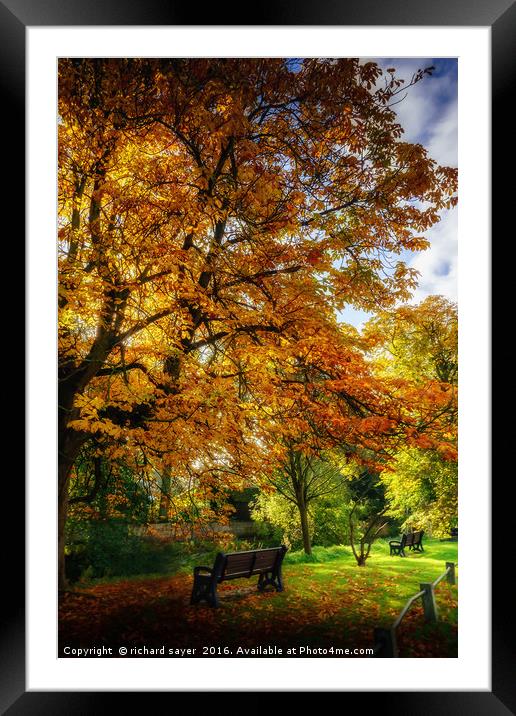 Take a Seat Framed Mounted Print by richard sayer