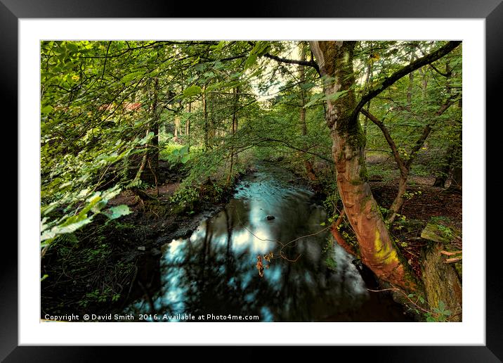 Nature Framed Mounted Print by David Smith
