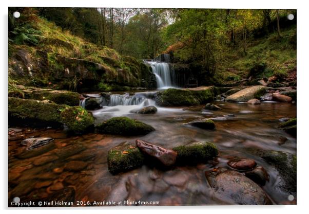 Blaen y Glyn Waterfall, Brecon Beacons  Acrylic by Neil Holman