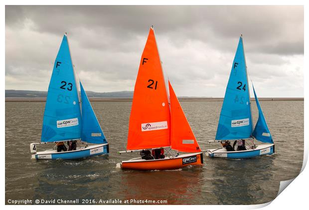 Synchronised Sailing Print by David Chennell