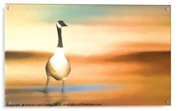 Canada Goose Acrylic by Sharon Lisa Clarke