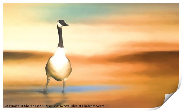 Canada Goose Print by Sharon Lisa Clarke