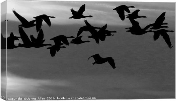 Fly Away With Me Canvas Print by James Allen