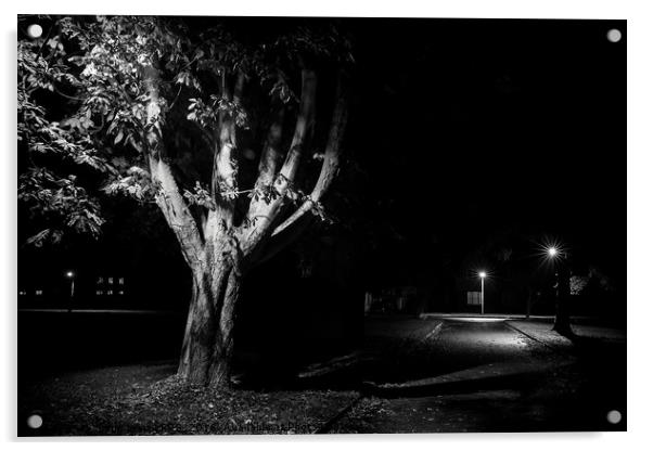 Rural street live at night Acrylic by Simon Bratt LRPS