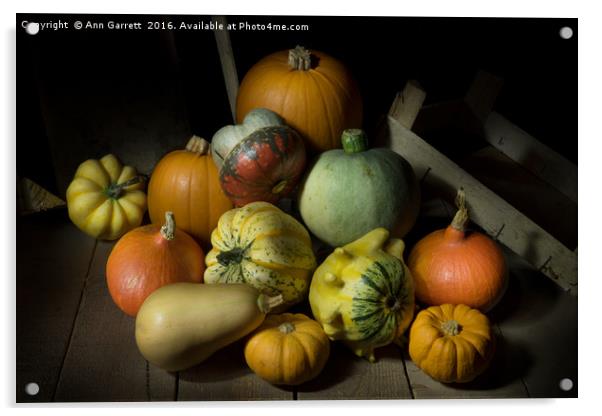 A Crate of Pumpkins Acrylic by Ann Garrett