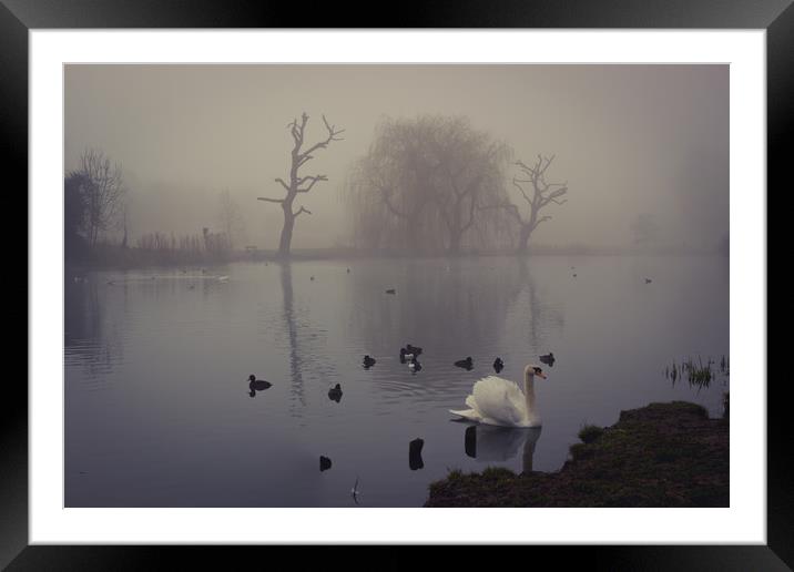 Mist in the Morning Framed Mounted Print by Neal P