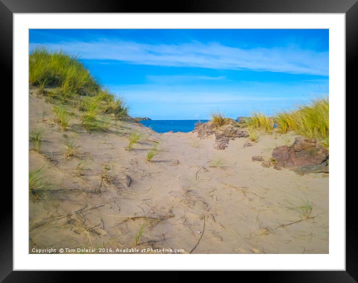 Sea view Framed Mounted Print by Tom Dolezal