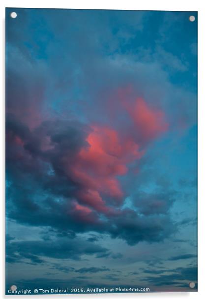 Sunset on a Cumulus cloud  Acrylic by Tom Dolezal