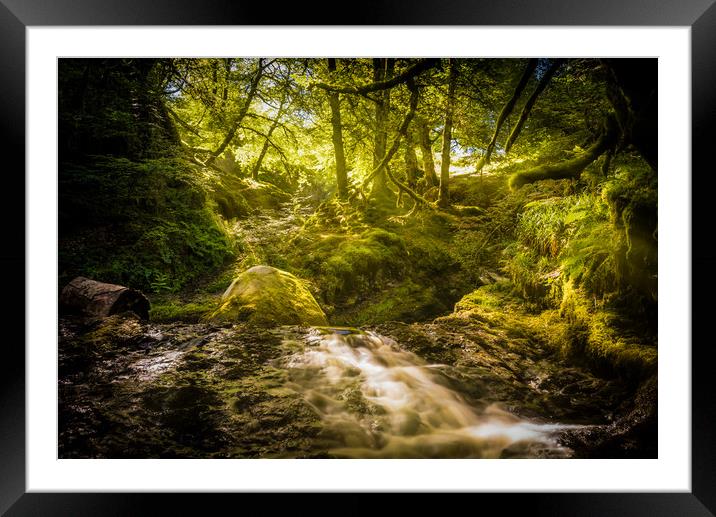 Sunlit Woodland Glade Framed Mounted Print by Gareth Burge Photography