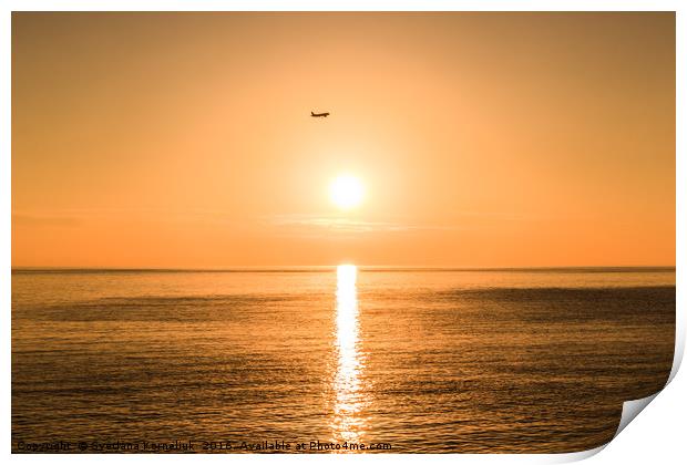 Flight Over The Sea At Sunset  Print by Svetlana Korneliuk