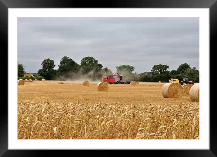 Harvest Time Framed Mounted Print by graham young