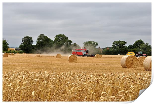 Harvest Time Print by graham young
