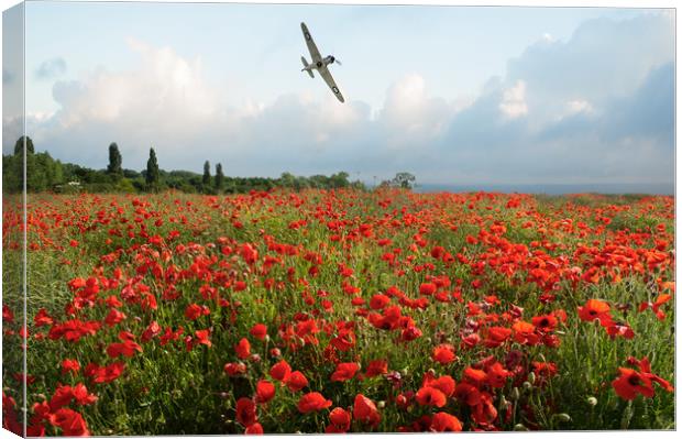 Hurricane over poppy field Canvas Print by Gary Eason