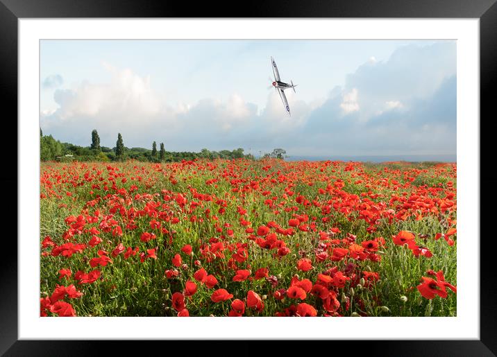 Poppies and SIlver Spitfire Framed Mounted Print by Gary Eason