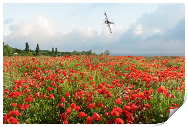 Poppies and SIlver Spitfire Print by Gary Eason