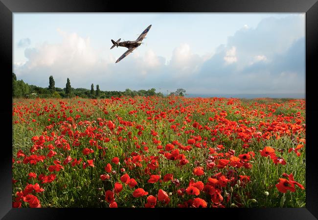 Poppies and Polish Spitfire Vb Framed Print by Gary Eason